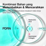 ANUA PDRN Hyaluronic Acid Capsule 100 Serum 1ml x 10pcs
