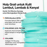 ANUA PDRN 100 Hyaluronic Acid Serum Pad 60ea