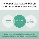 SKIN1004 Madagascar Kulit Sensitif Centella Tea-Trica BHA Foam 125ml