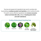 LINDSAY Cool Tea-Tree Modelling Mask Cup Pack 28g