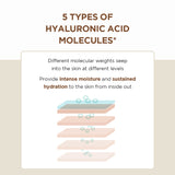 SKIN1004 Madagascar Centella Probio-Cica Essence Toner