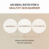 SKIN1004 Magadascar Centella Probio-Cica Intensive Ampoule