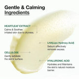 ANUA Heartleaf LHA Moisture Peeling Gel 120ml