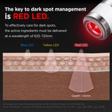 P.CALM Cicalacto 45 Sleeping Mask Refill Pack