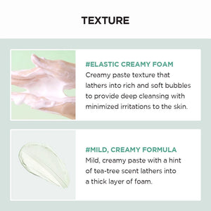 SKIN1004 Madagascar Kulit Sensitif Centella Tea-Trica BHA Foam 125ml
