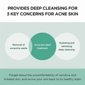 SKIN1004 Madagascar Kulit Sensitif Centella Tea-Trica BHA Foam 125ml