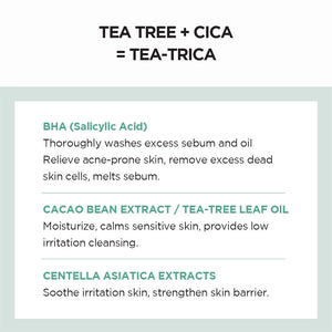 SKIN1004 Madagascar Kulit Sensitif Centella Tea-Trica BHA Foam 125ml