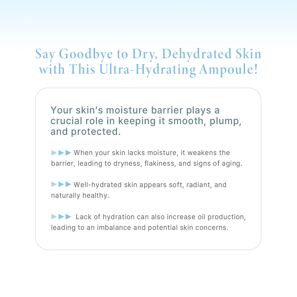 LINDSAY Amazing Moisture Multi Ampoule 500ml