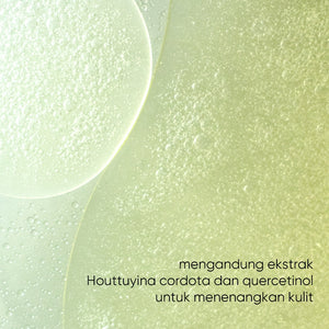 ANUA Heartleaf Quercetinol Pore Deep Cleansing Foam