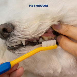 PETHROOM Dental Clean Toothbrush