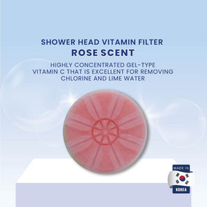 SEASEE Shower Vitamin Head Filter