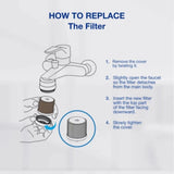 [Kit] SEASEE 6-Month Basin Bundle (More Economic)