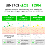 EQQUALBERRY ALOE PDRN CALMING SERUM 30ml